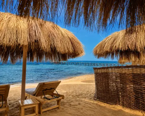 Beach and reef